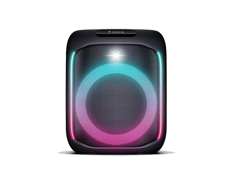 6.5inch Party Speaker